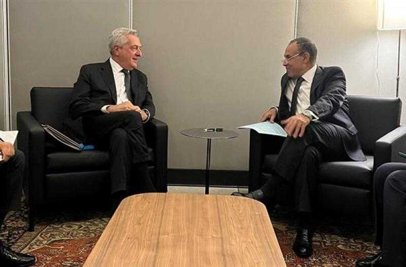 وزير الخارجية: مصر الثالثة عالميا بين الدول الأكثر استقبالا لطلبات لجوء