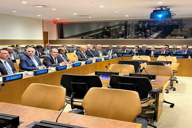 وزير الخارجية يؤكد ضرورة مواصلة جهود التصدي للسياسات الإسرائيلية الهادفة لمنع إقامة الدولة الفلسطينية
