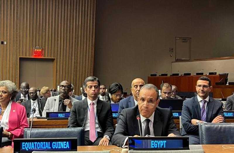 وزير الخارجية يشيد بموقف أيرلندا من القضية الفلسطينية واعترافها بفلسطين