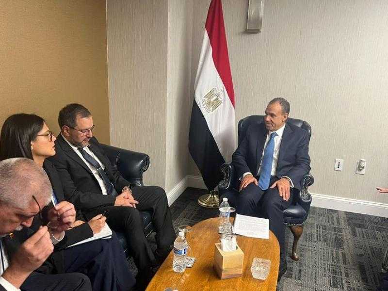 وزير الخارجية: مصر لا ترى بديلًا سوى اتخاذ خطوات واضحة تجاه تنفيذ حل الدولتين وإقامة الدولة الفلسطينية