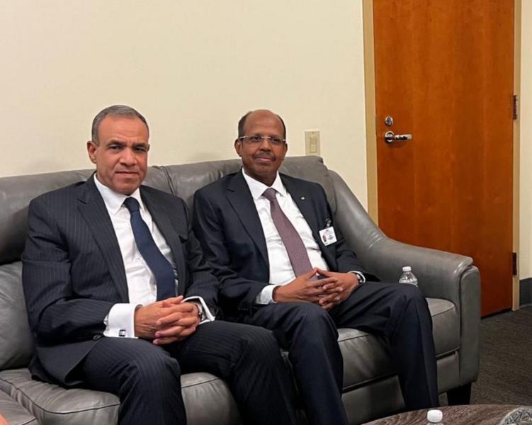 د بدر عبد العاطي يلتقي مع وزير خارجية جيبوتي في نيويورك