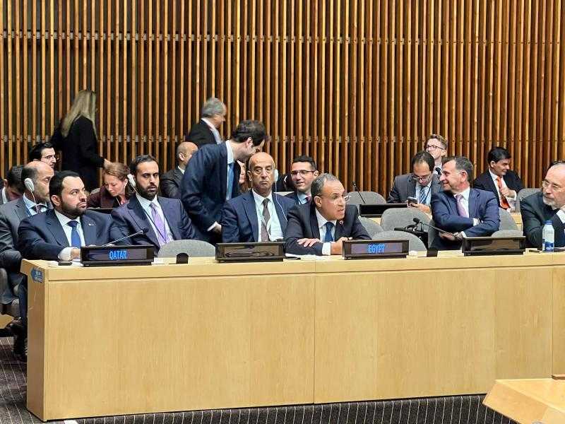 وزير الخارجية: الأزمة الحالية في فلسطين نتاج أعوام من الممارسات الإسرائيلية لتكريس احتلال غير شرعي