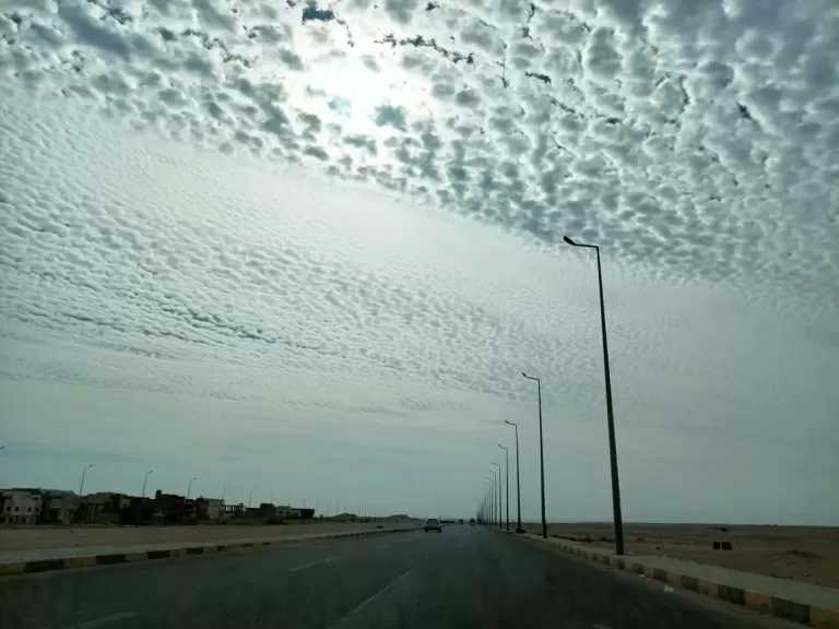 طقس كفرالشيخ اليوم.. استقرار درجات الحرارة ورياح خفيفة نهارا شديد البرودة ليلا