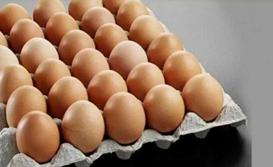 شعبة بيض المائدة: حجم الإنتاج يعادل 135% من احتياجات السوق المحلية