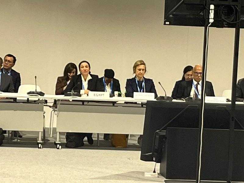 خلال مشاركتها في COP29.. وزيرة البيئة تستعرض جهود مصر ونجاحها في توفير تمويل المناخ