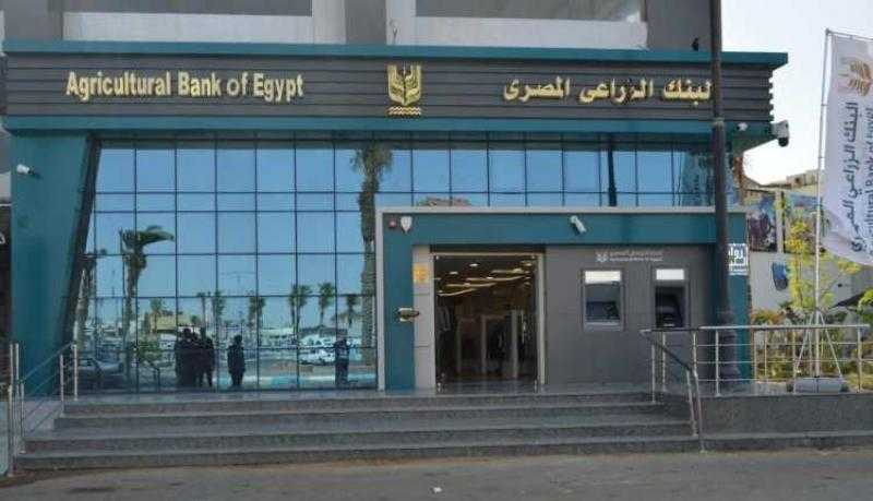 البنك الزراعي المصري يخصص 500 مليون جنيه لإعادة تشغيل مزارع الدواجن المتوقفة