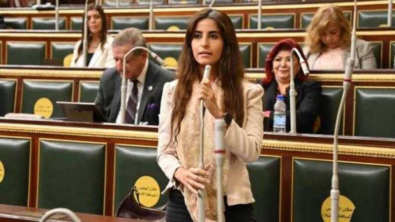 خارجية النواب تؤيد الموقف المصري المطالب بتدخل مجلس الأمن ضد الاحتلال الإسرائيلي