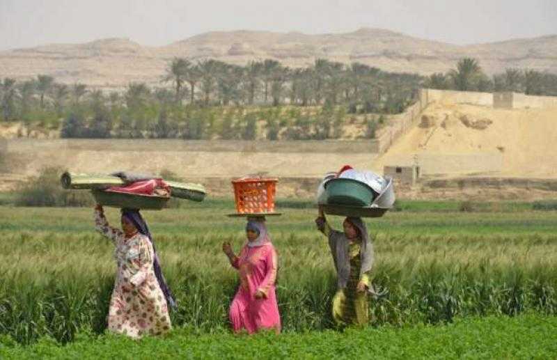 جهود الدولة المصرية لتحسين جودة حياة المرأة الريفية من خلال المبادرة الرئاسية حياة كريمة