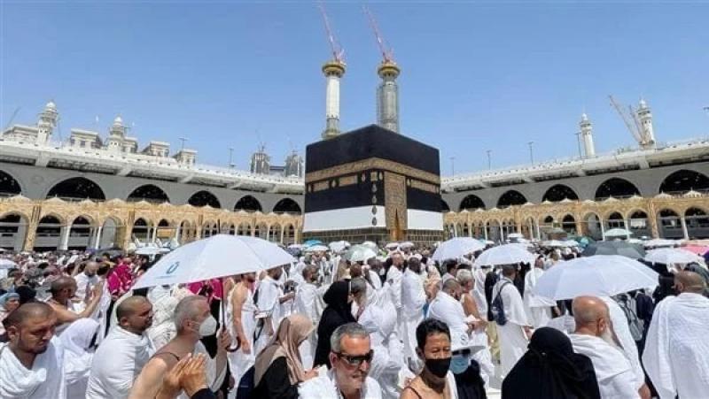 ”التضامن”: 41 ألف مواطن تقدموا لقرعة الحج 31 % منهم تتراوح أعمارهم بين 60 إلى 80 عامًا