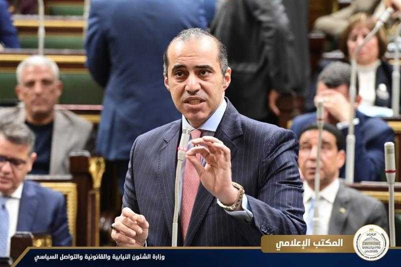 وزير شئون المجالس النيابية: القائمة النسبية لم تكن محل توافق في الحوار الوطني