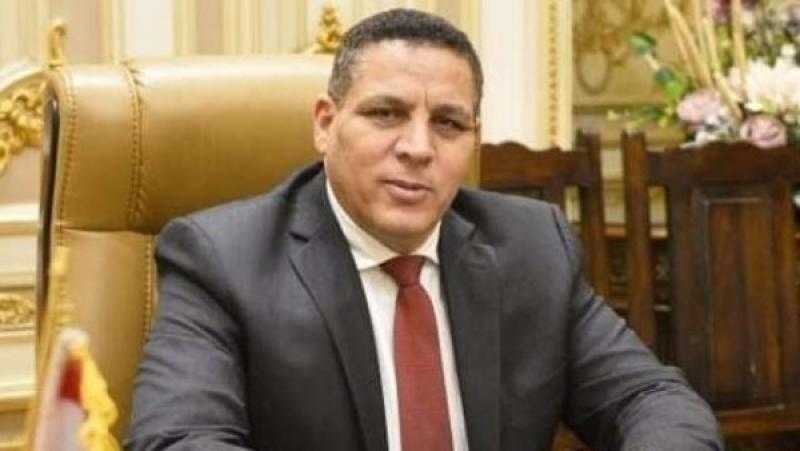 عضو بالشيوخ: مصر تعمل على جذب الاستثمارات الأجنبية والمباشرة