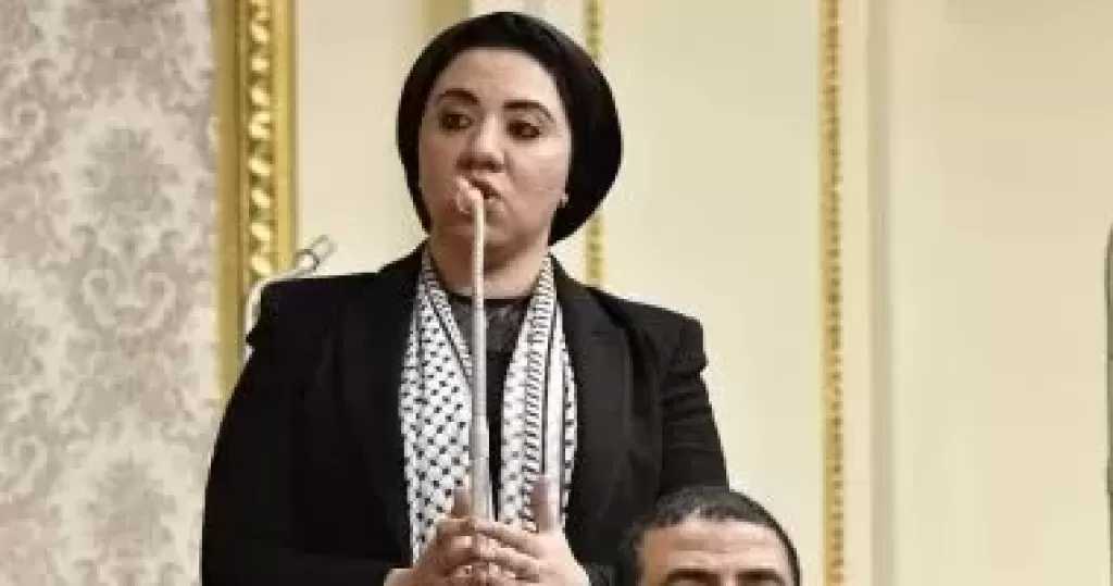 لجنة الصحة بمجلس الشيوخ توافق على مقترح النائبة أميرة صابر بإنشاء بنك وطني للأنسجة البشرية