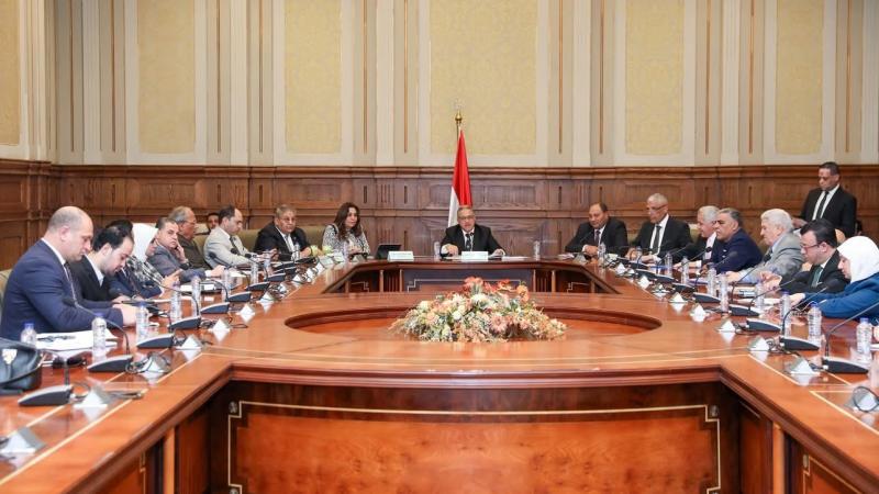 وزيرة التنمية المحلية تعرض رؤية الوزارة للتعامل مع ظاهرة انتشار الحيوانات الضالة بالمحافظات