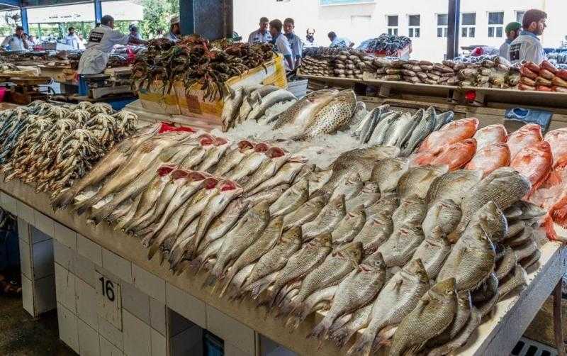 أسعار السمك والجمبري بالأسواق اليوم السبت 4 يناير