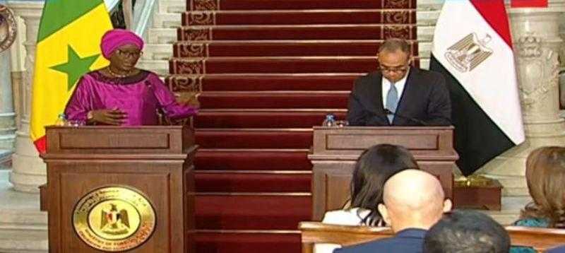 وزير الخارجية: توجيهات من قادة مصر والسنغال بالعمل على تعزيز العلاقات الثنائية في مختلف المجالات