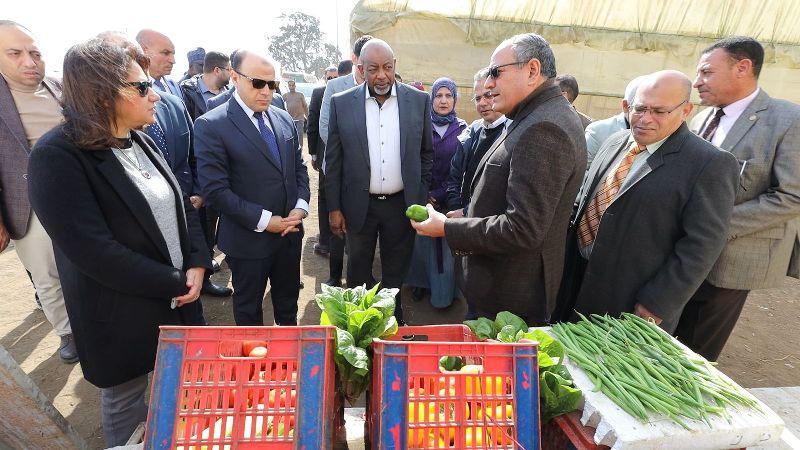 محافظ كفرالشيخ ووزير الزراعة النيجيري يتفقدان البرنامج الوطني لإنتاج تقاوي الخضر بالبحوث الزراعية بـ”سخا” Feature image