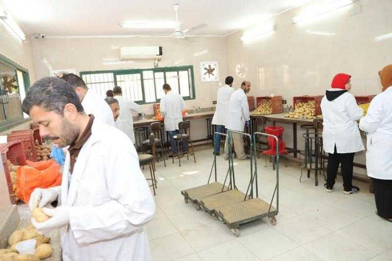 ”الزراعة” تُعلن عن 617 ألف فدان خالية من العفن البني في البطاطس