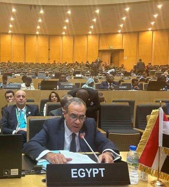 وزير الخارجية والهجرة يلقي كلمة مصر في اجتماع المجلس التنفيذي للاتحاد الإفريقي
