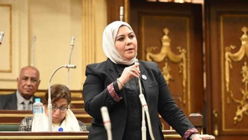 عضو تضامن النواب: حزمة الحماية الاجتماعية تدعم الفئات الأولى بالرعاية
