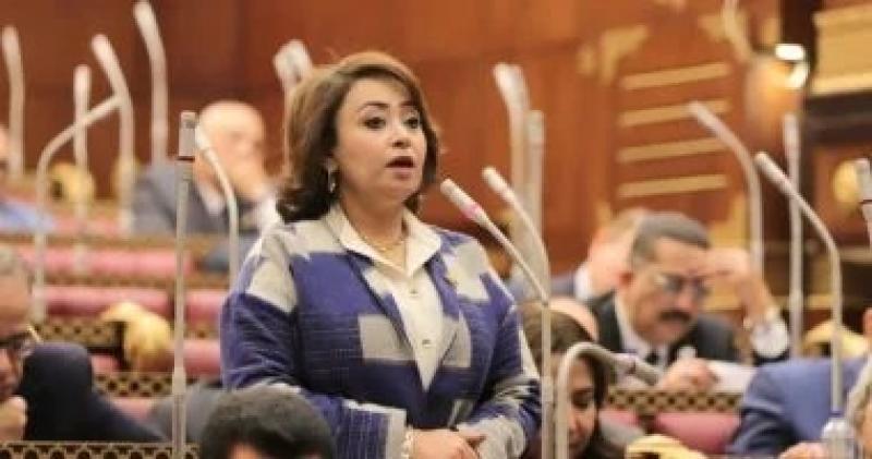 أمين سر ”تضامن الشيوخ”: مصر ستظل السند لشعب فلسطين بمعركة البقاء والمصير
