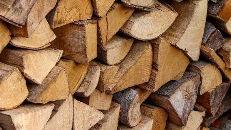 أسعار الخشب اليوم الخميس 20 - 3 - 2025