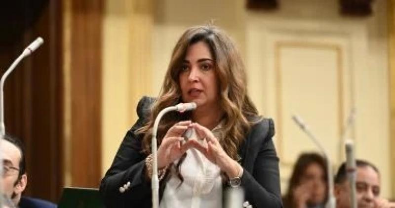 النائبة أميرة العادلى ترصد جهود التنسيقية فى مشروع قانون المسئولية الطبية