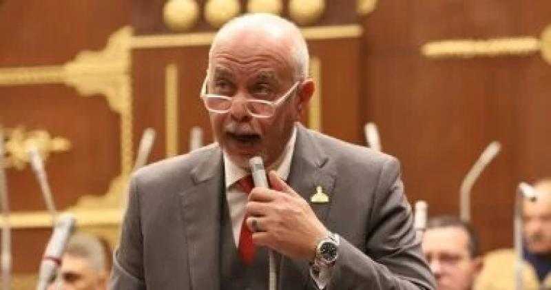 حازم الجندي: مصر تقدم نموذجا متوازنا من أجل التنمية الشاملة والمستدامة