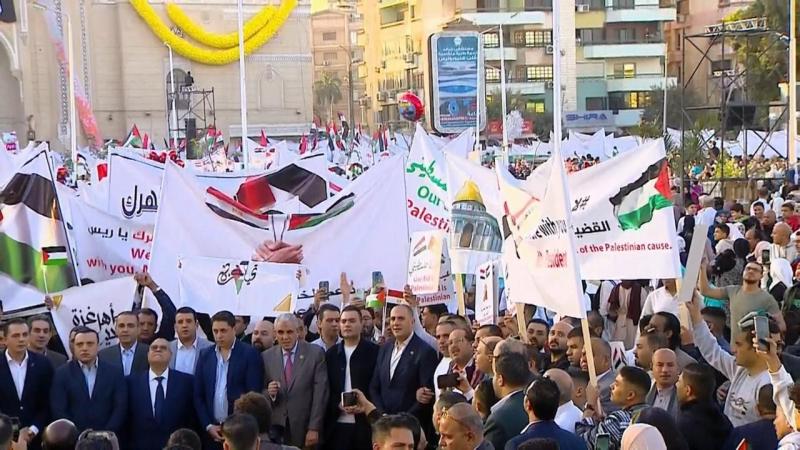 القوى الوطنية والإسلامية تشيد بمساندة شعب مصر وقيادتها للقضية الفلسطينية
