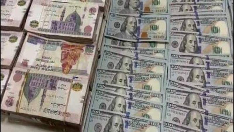 منع تداول عملات أجنبية بقيمة 18 مليون جنيه بالسوق السوداء خلال 24 ساعة