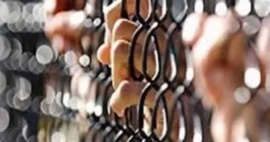 تأجيل محاكمة 12 متهما بقضية أحداث المنصة لجلسة 15 يونيو المقبل