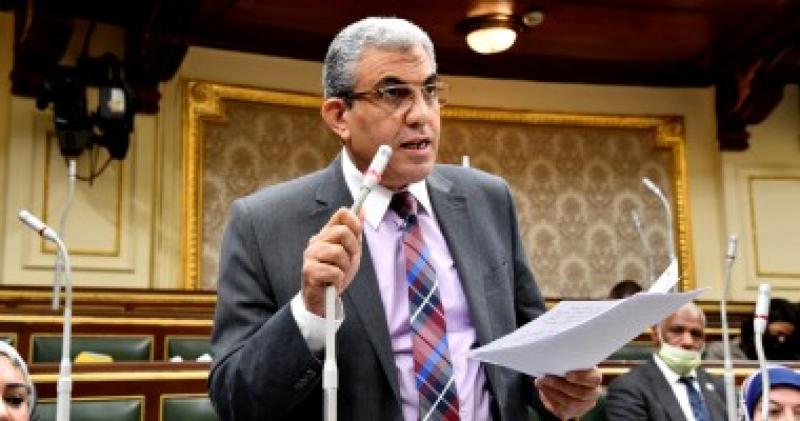 رئيس قوى عاملة النواب: جولة الرئيس السيسي الخليجية تدعم الخطة العربية لإعادة إعمار غزة
