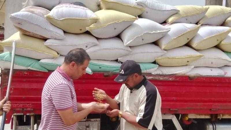 توريد 2000 طن قمح خلال الأسبوع الأول لموسم الحصاد بالجيزة
