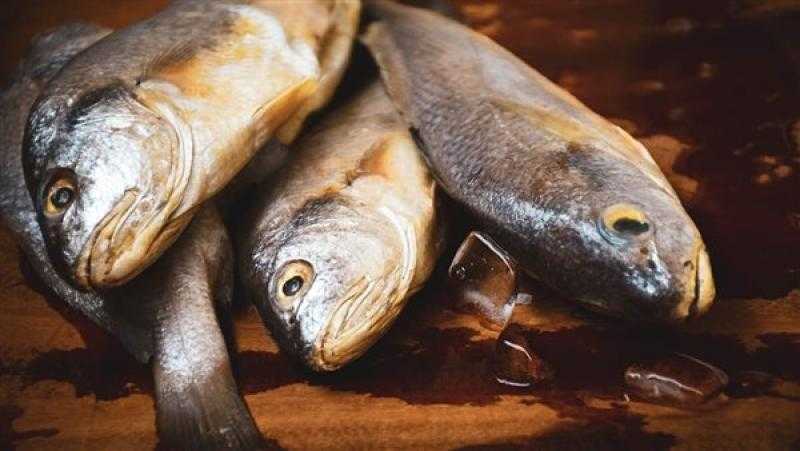 أسعار السمك اليوم الجمعة 25 - 4 - 2025