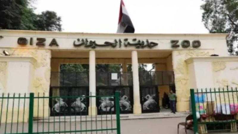 موعد افتتاح أبواب حديقة الحيوان بعد التطوير.. متحدث الزراعة يكشف