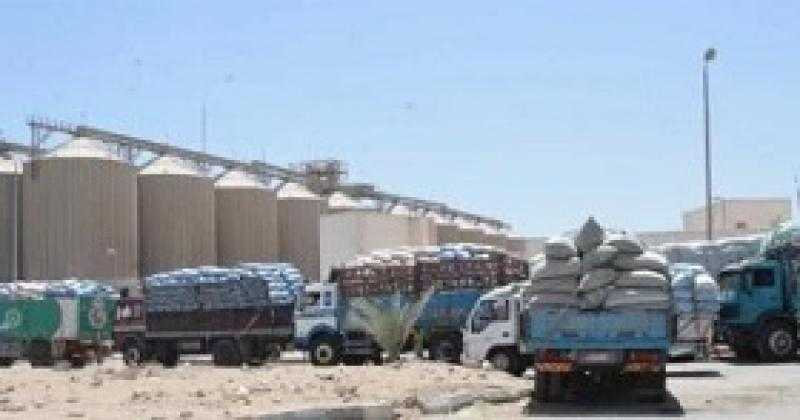 الوادي الجديد: توريد أكثر 194 الف طن قمح داخل وخارج المحافظة