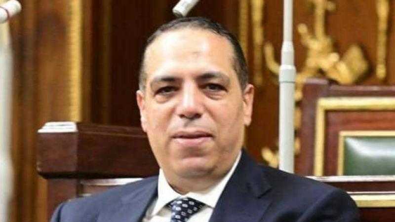 الصافي عبد العال: مشروع ”مستقبل مصر” نقلة نوعية في تحقيق الأمن الغذائي والتنمية العمرانية