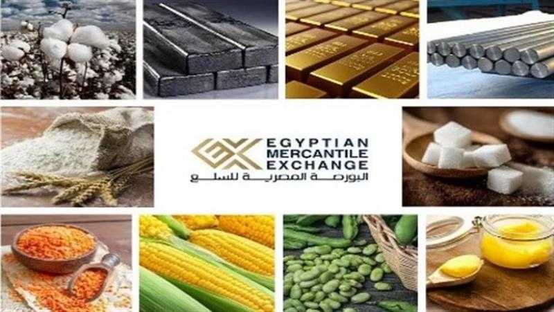 إعلامي الوزراء: البورصة السلعية صمام الأمان للأسواق وآلية فعالة لضبط الأسعار.. فيديو