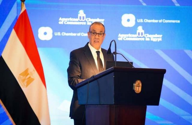 وزير الخارجية: مصر تواصل جهودها لتحقيق السلام والأمن والاستقرار في المنطقة