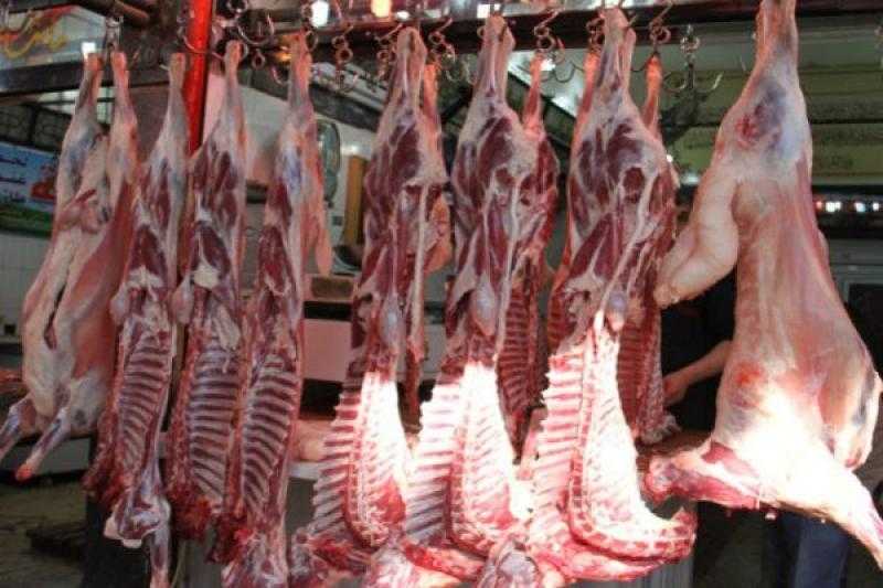 تموين جنوب سيناء يطرح لحوم ضأن ومجمدة ودواجن وأسماك بأسعار مخفضة