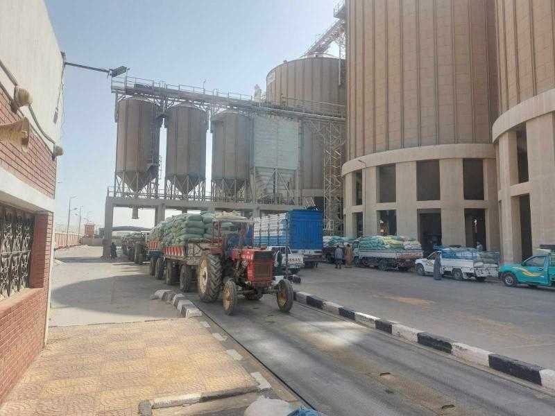 محافظ أسيوط: انتظام توريد القمح في رابع أيام العيد واستلام 177 ألف طن منذ بدء الموسم