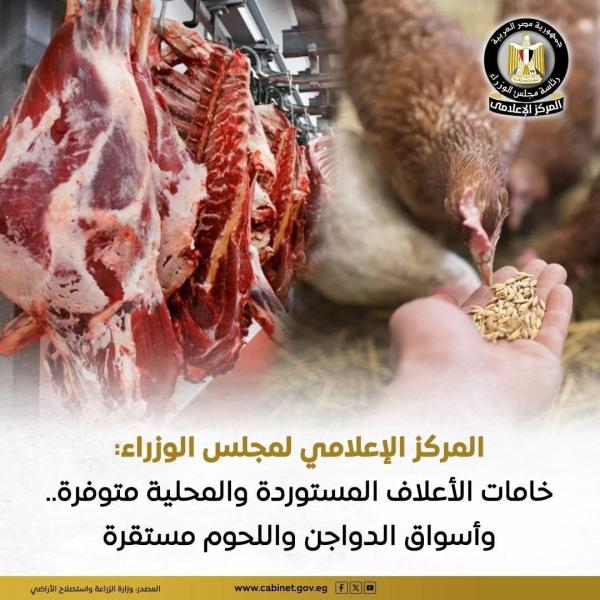 المركز الإعلامي لمجلس الوزراء: خامات الأعلاف المستوردة والمحلية متوفرة.. وأسواق الدواجن واللحوم مستقرة