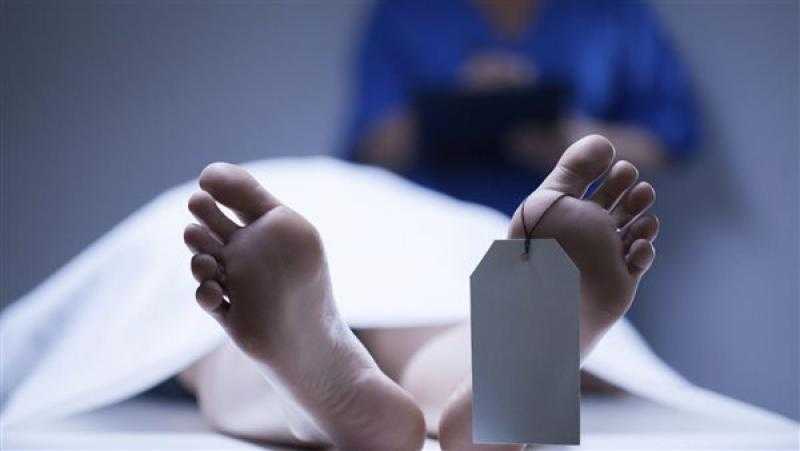 مصرع طالب صدمته سيارة ملاكي بطريق مصر إسكندرية الصحراوي