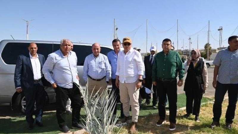 أكبر مزرعة للتمور.. الزراعة: تعظيم إنتاجية الفدان بالوادي الجديد