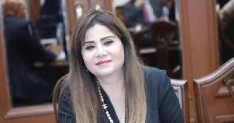 برلمانية: ثورة 30 يونيو أجهضت الفوضى وأسست لمسار سيادى جديد
