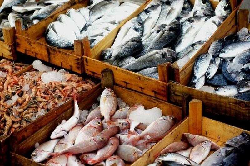 أسعار المأكولات البحرية بالأسواق والسيارات المتنقلة اليوم السبت