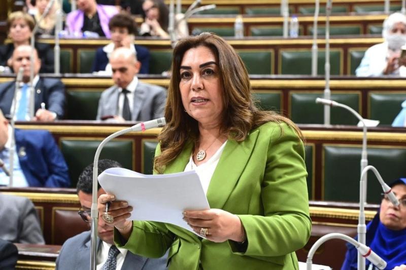 د. منال عوض: الدولة المصرية والحكومة لن تتخلي عن سكان الإيجار القديم عند تطبيق القانون