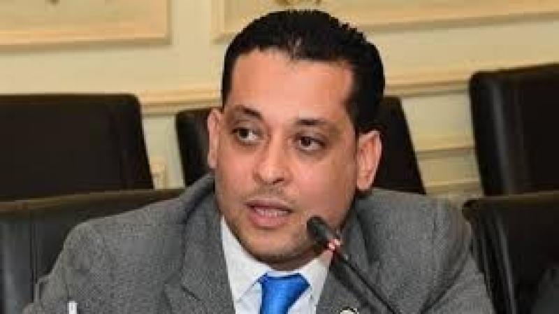 محمد نشأت: ثورة 30 يونيو أنقذت مصر من براثن الإرهاب وأجهضت مخططات التقسيم