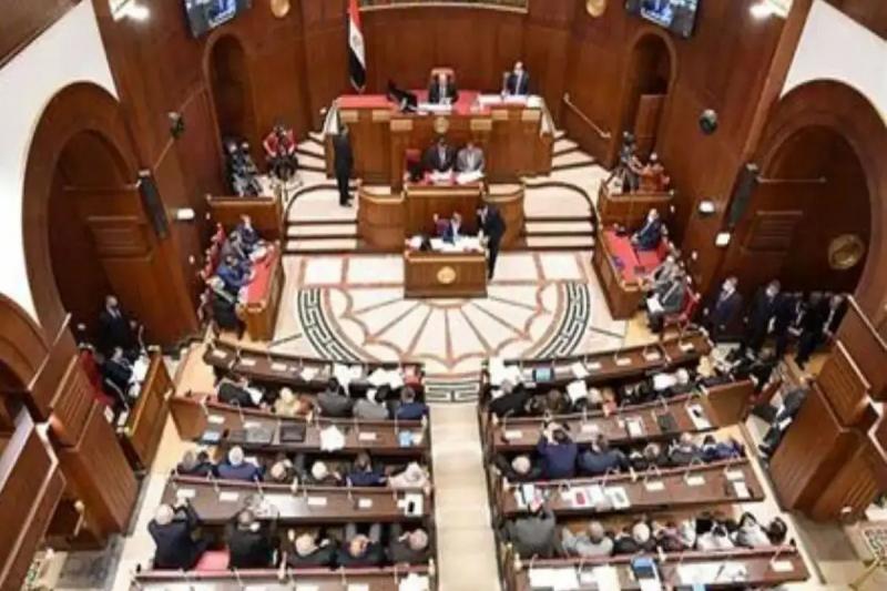 انتخابات مجلس الشيوخ.. أكثر من 10 آلاف قاضٍ وتحديث «البيانات» وتيسيرات خاصة لكبار السن