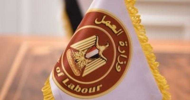 وزارة العمل: استمرار التقديم على وظائف مشروع الضبعة النووية