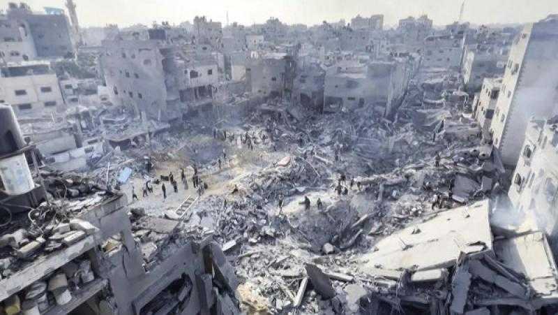 أستاذ علاقات دولية: تصريحات المقررة الأممية لحقوق الإنسان في فلسطين ناقوس خطر